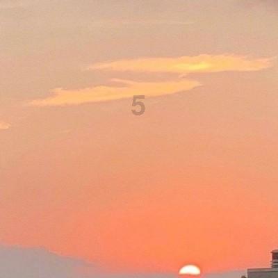逗小猴开心系列183