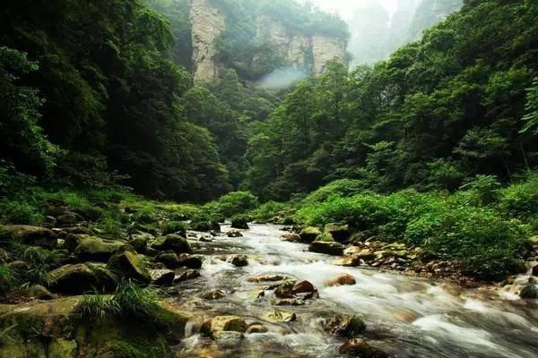 拯救精灵的土地9